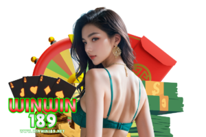 winwin 289